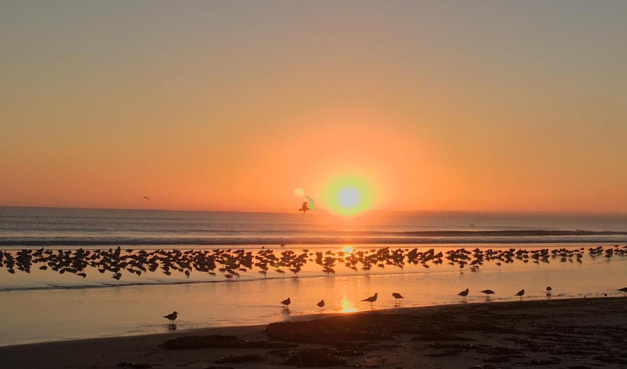 Organic Beach Retreat Daytona Beach Ngoại thất bức ảnh